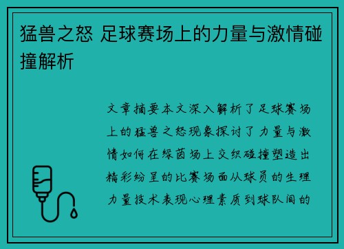 猛兽之怒 足球赛场上的力量与激情碰撞解析