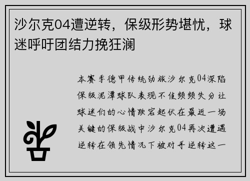 沙尔克04遭逆转，保级形势堪忧，球迷呼吁团结力挽狂澜