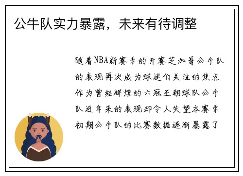 公牛队实力暴露，未来有待调整